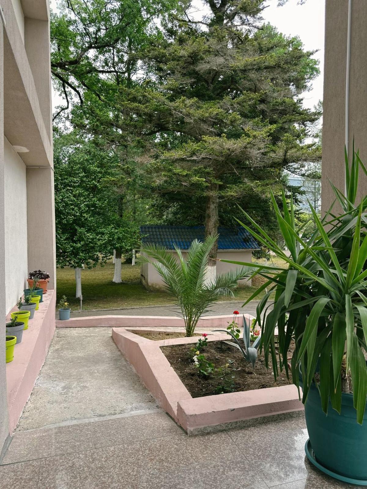 Hotel Solidarity Кобулети Экстерьер фото